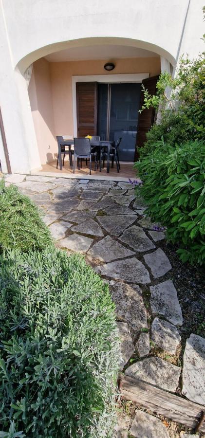 A Casa Di Daniele Apartment ปอร์โต โปเตนซา ปีเชนา ภายนอก รูปภาพ