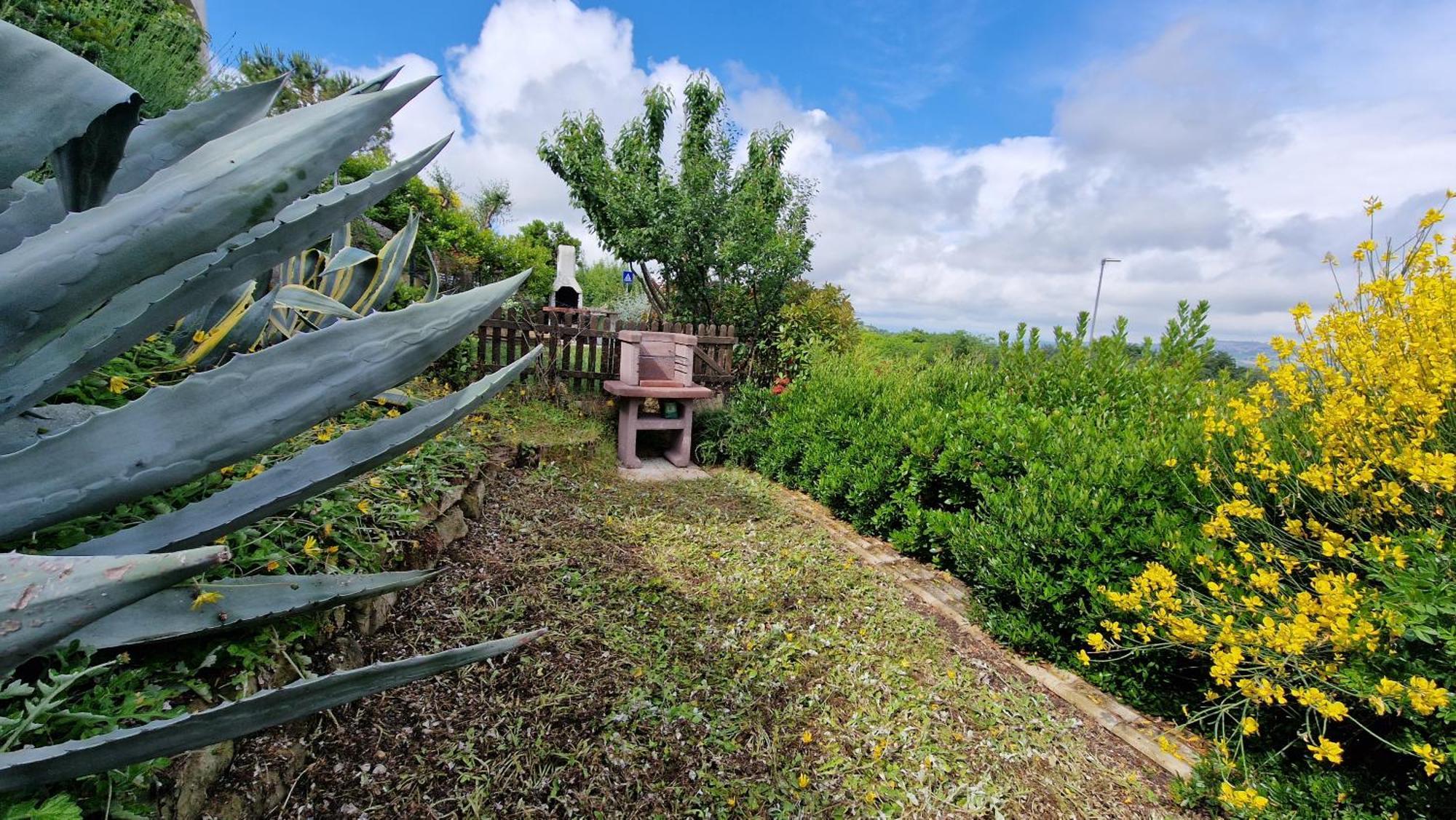 A Casa Di Daniele Apartment ปอร์โต โปเตนซา ปีเชนา ภายนอก รูปภาพ